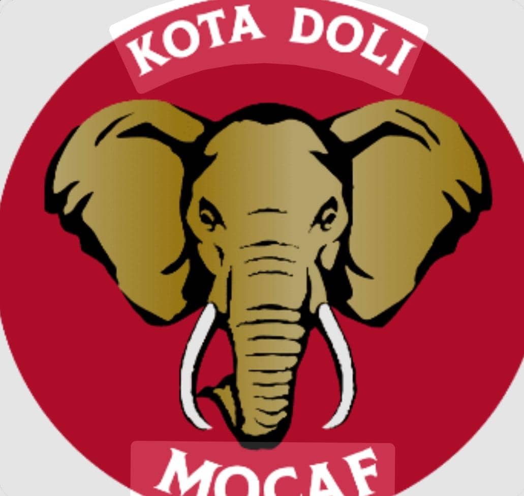 MOCAF logo